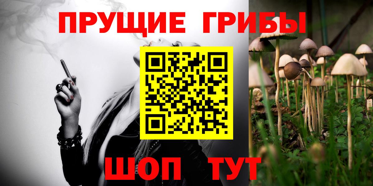 Псилоцибиновые грибы Psilocybe  магазин продажи наркотиков  Псилоцибиновые грибы мухоморы  Тейково  Вход с VPN 